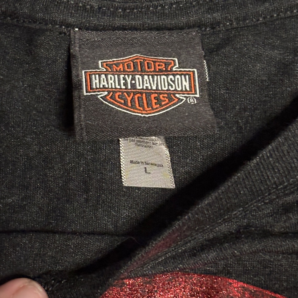 NWOT Harley-Davidson Black Graphic Tee with Red & Gray Logo - Picture 2 of 4